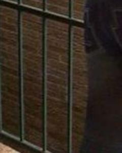 Woman, 43. wideopen3817