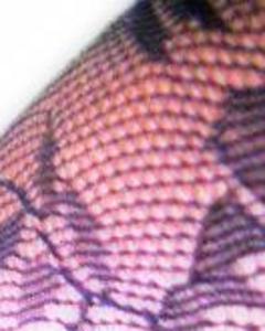 Woman, 34. Dollar0362