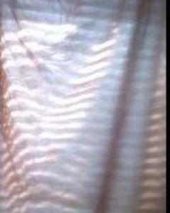 Woman, 44. amberlee1981