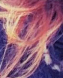Woman, 32. YungRapunxel18