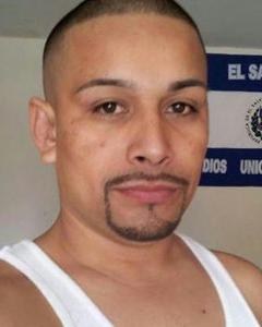 Man, 40. perrodeagua