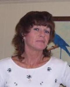 Woman, 66. CuddleKittyNY