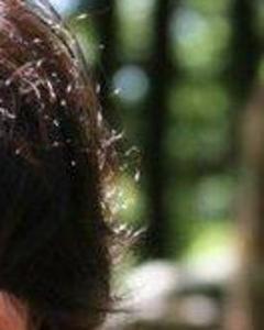 Woman, 35. TP21
