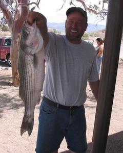 Man, 53. michaelfrance