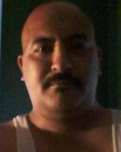 Man, 49. daddytree