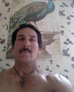 Man, 59. tbear0312