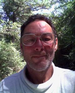 Man, 64. bill_irwin