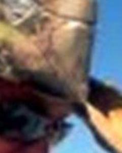 Man, 55. bob04858703