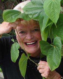 Woman, 80. linlo2787