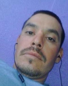 Man, 42. animal908231