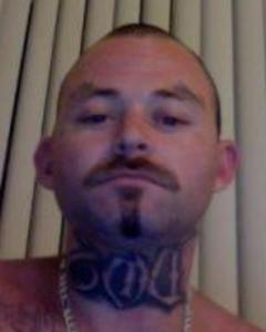 Man, 43. stewie_griffen