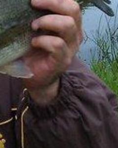Man, 46. powerfull1