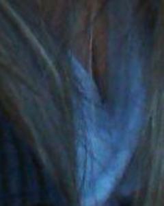 Woman, 39. Jaymi3202