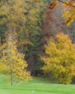 Woman, 59. golfgurl8346