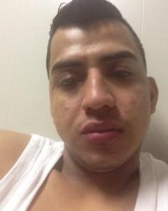 Man, 35. Elflavosksnabl