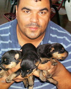 Man, 51. Marcelo533436
