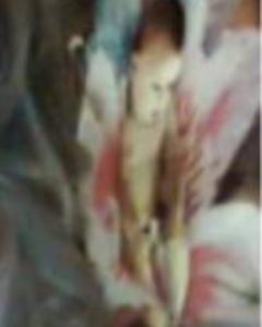 Woman, 56. srms2002