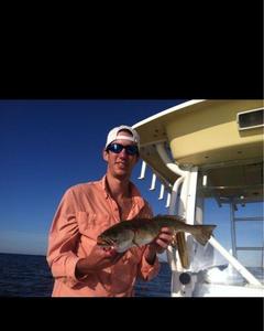 Man, 35. BrandonLXA