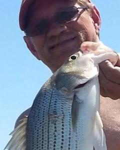 Man, 65. Looking4151