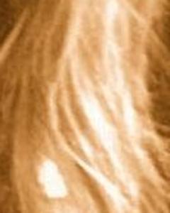 Woman, 60. sweetiegir1086