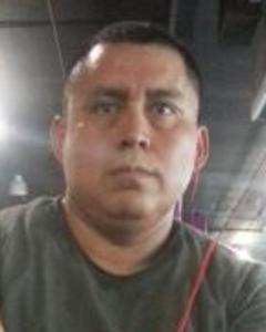 Man, 50. gatofurioso