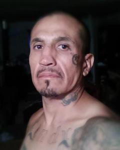 Man, 54. spidergki