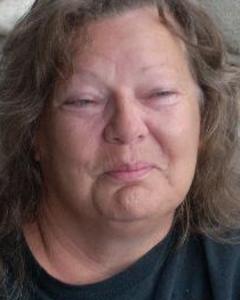 Woman, 70. katzlover