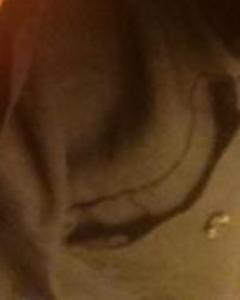 Woman, 39. pr_desire