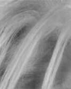 Woman, 53. tfinney