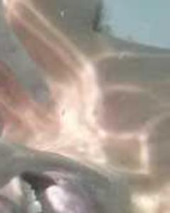 Man, 30. Awall2142