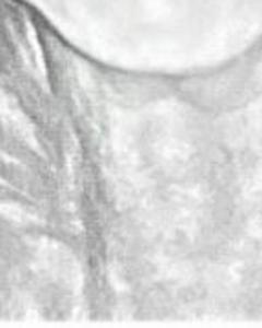Woman, 56. mgk7350