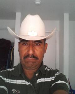 Man, 62. newlovernow