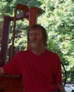 Man, 64. TreeWhisperer