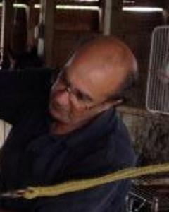 Man, 74. Coolfunnyside