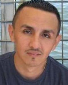 Man, 50. dhorgans