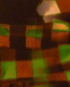 Man, 44. Washcloth3885