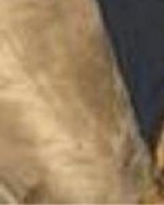 Man, 58. Pureheartz