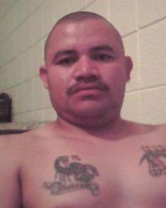 Man, 53. TOYSOLO