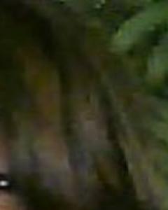 Woman, 43. Nicole7300