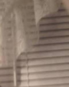 Woman, 37. Crisco7882