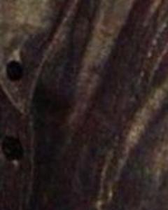 Man, 36. Cam1785