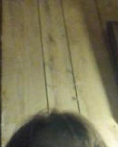 Woman, 63. Texascowgi7116