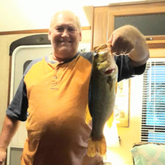 Man, 64. steve4691 